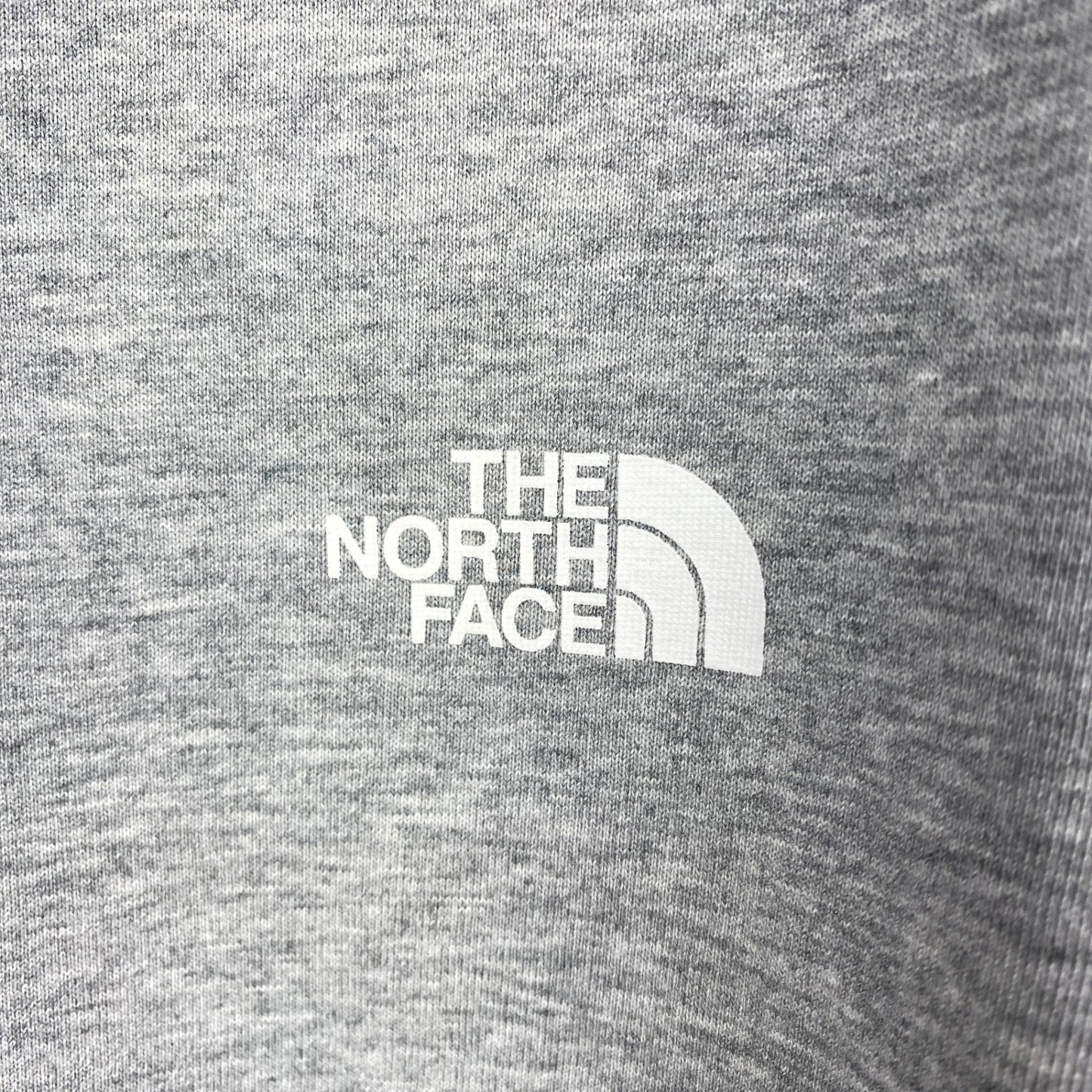 THE NORTH FACE Tシャツ メンズ XL グレー系【中古】