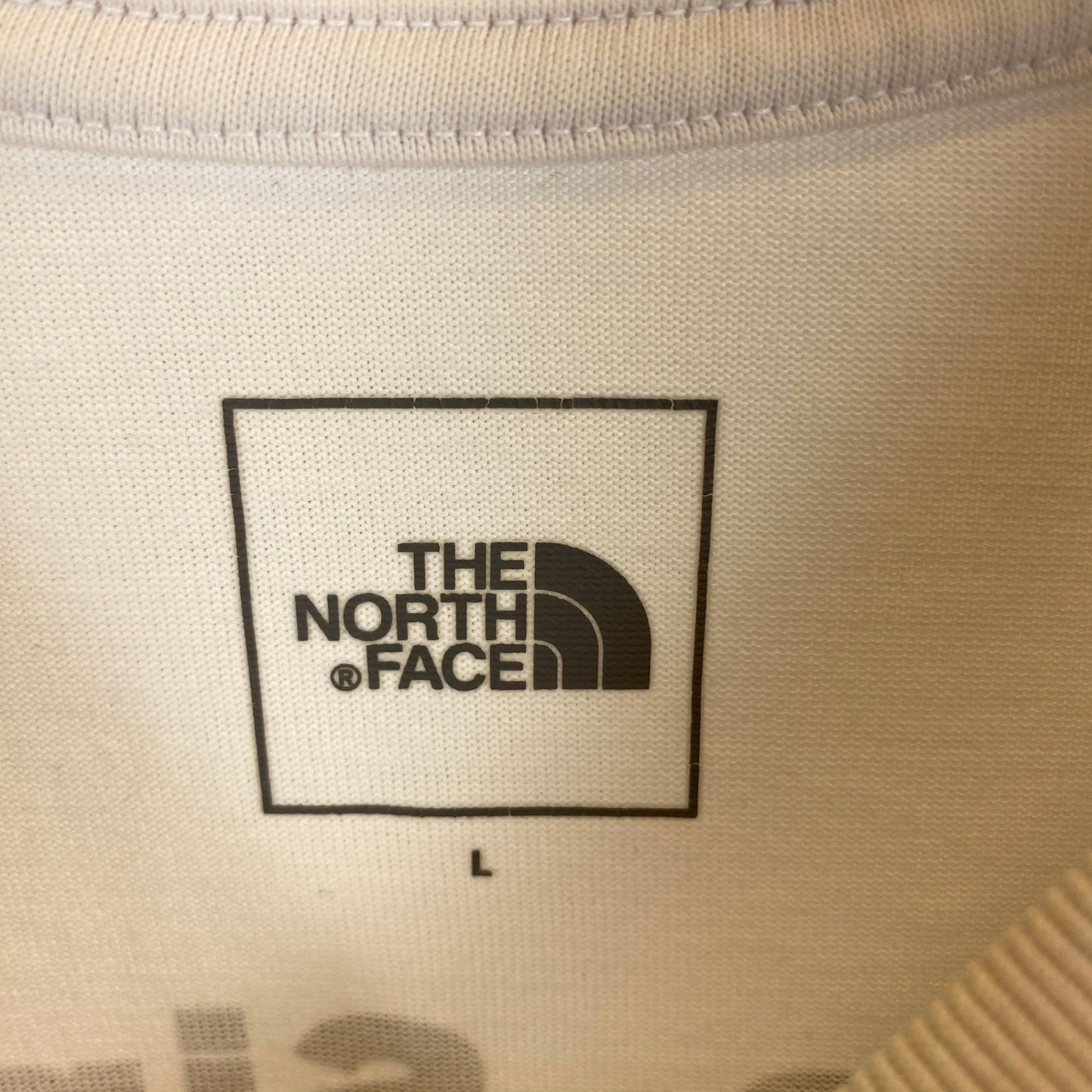 THE NORTH FACE 半袖Tシャツ メンズ L 白系【中古】