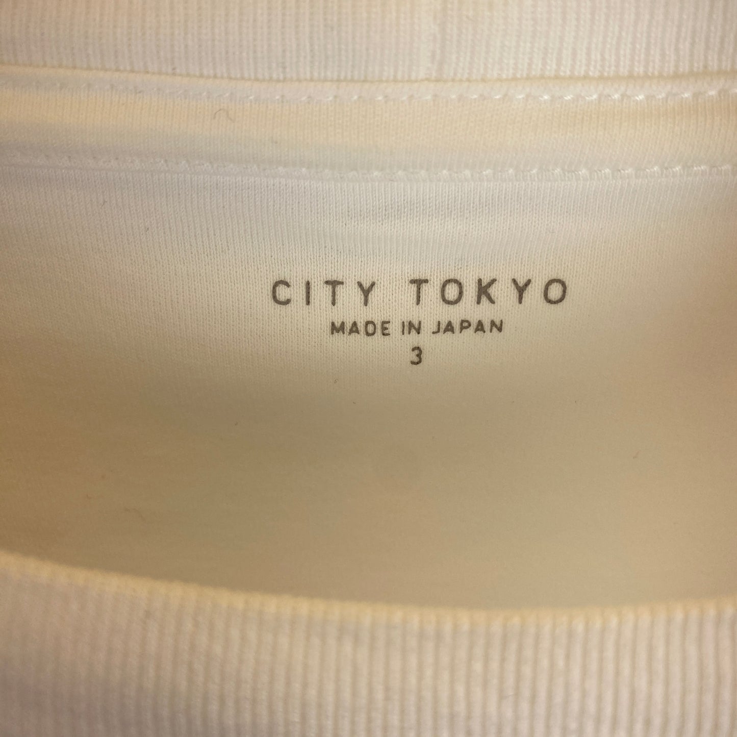 CITY TOKYO 半袖Tシャツ メンズ L 白系【中古】